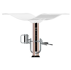 双柱大转轮(图4)