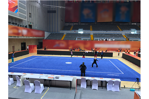 新型武术场地
